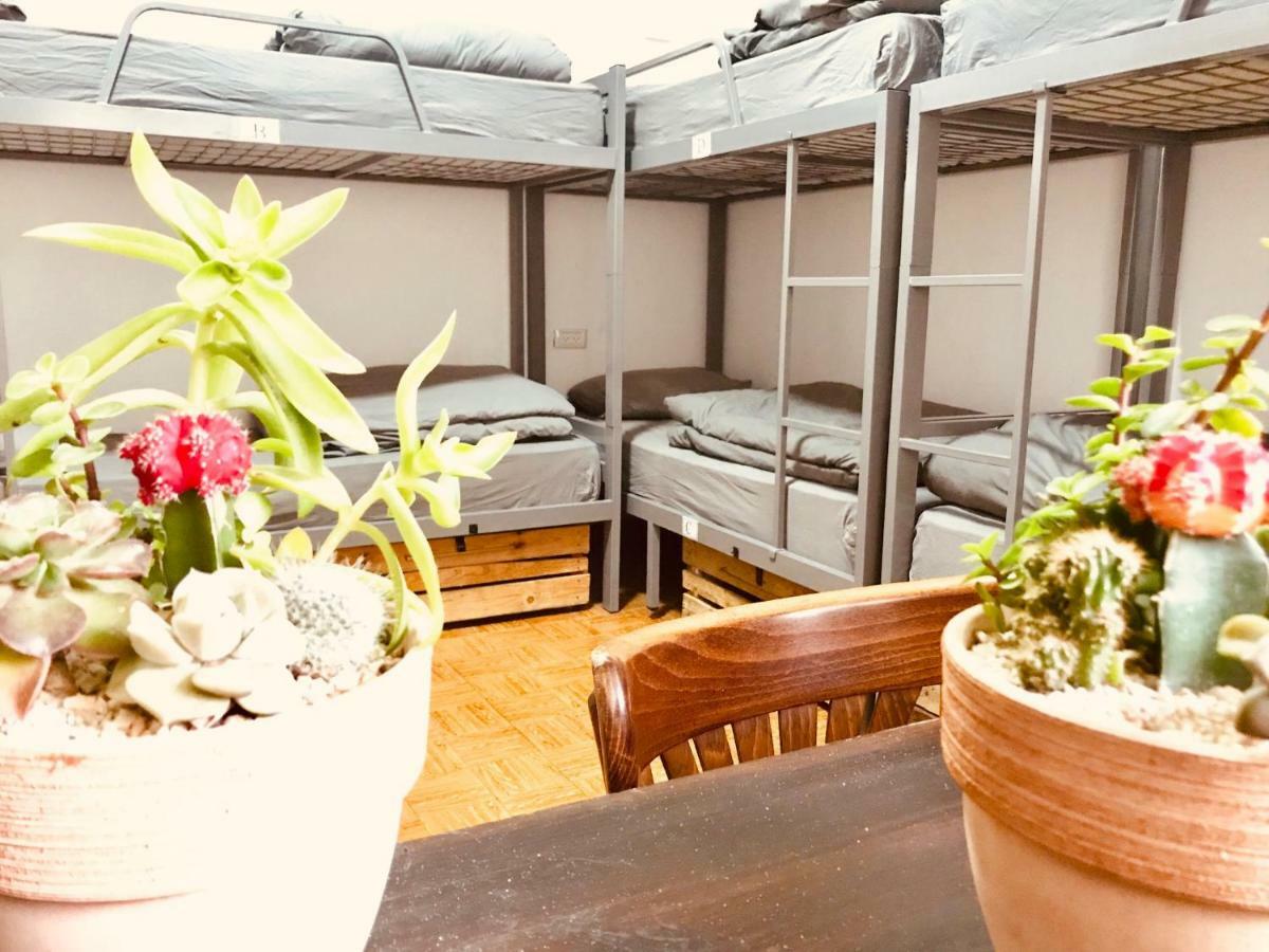 Al Yakhour Hostel Haifa Eksteriør billede
